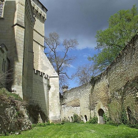 Chateau De Ternay Ternay  Екстериор снимка