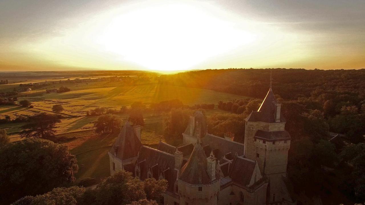 Chateau De Ternay Ternay  Екстериор снимка