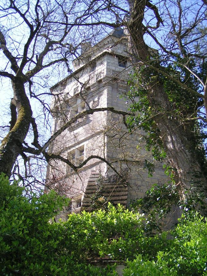Chateau De Ternay Ternay  Екстериор снимка