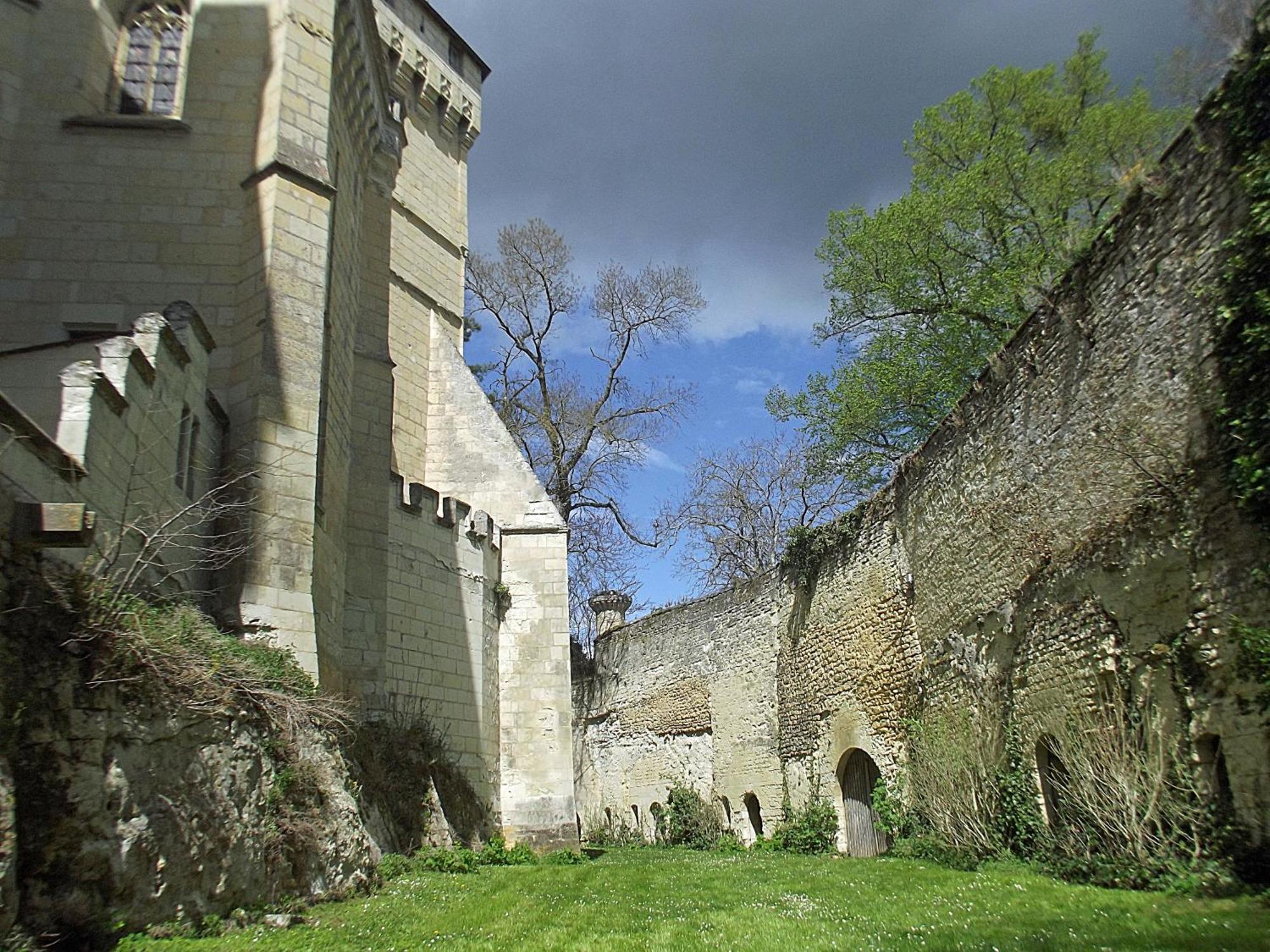 Chateau De Ternay Ternay  Екстериор снимка
