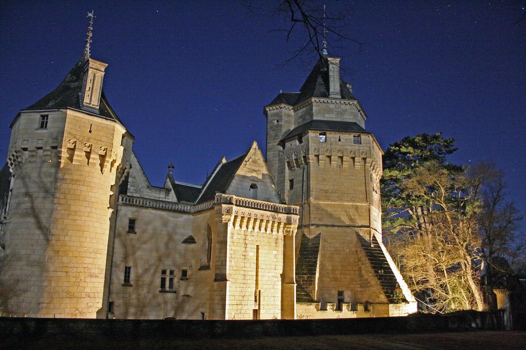 Chateau De Ternay Ternay  Екстериор снимка