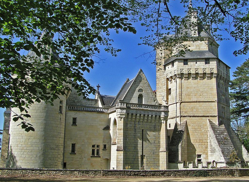 Chateau De Ternay Ternay  Екстериор снимка
