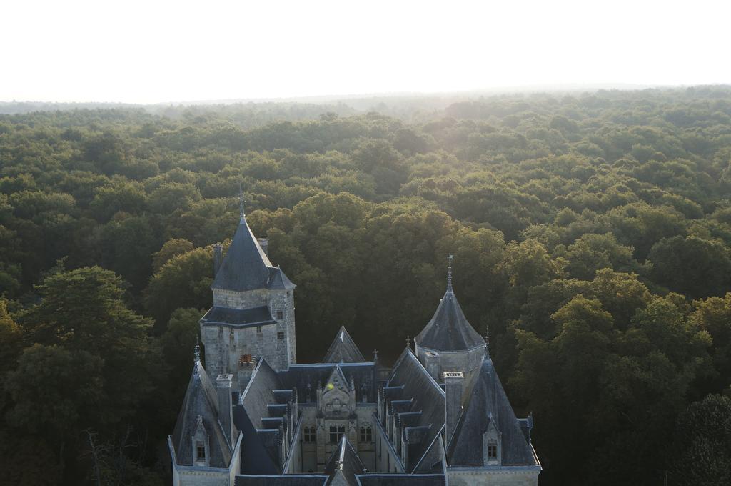 Chateau De Ternay Ternay  Екстериор снимка