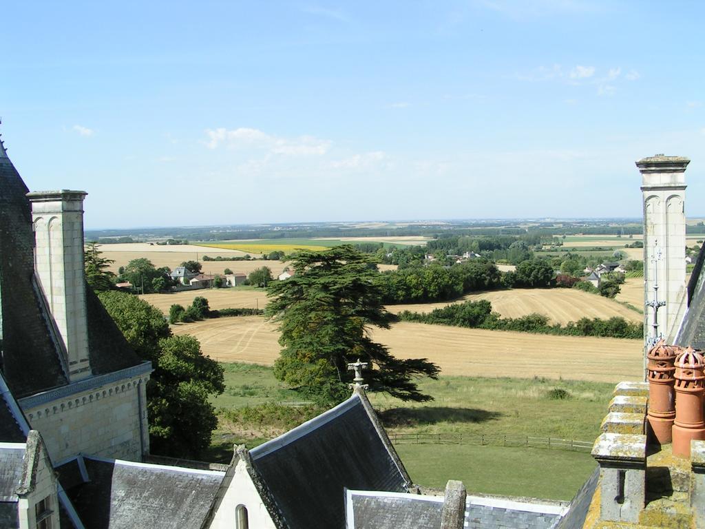 Chateau De Ternay Ternay  Екстериор снимка