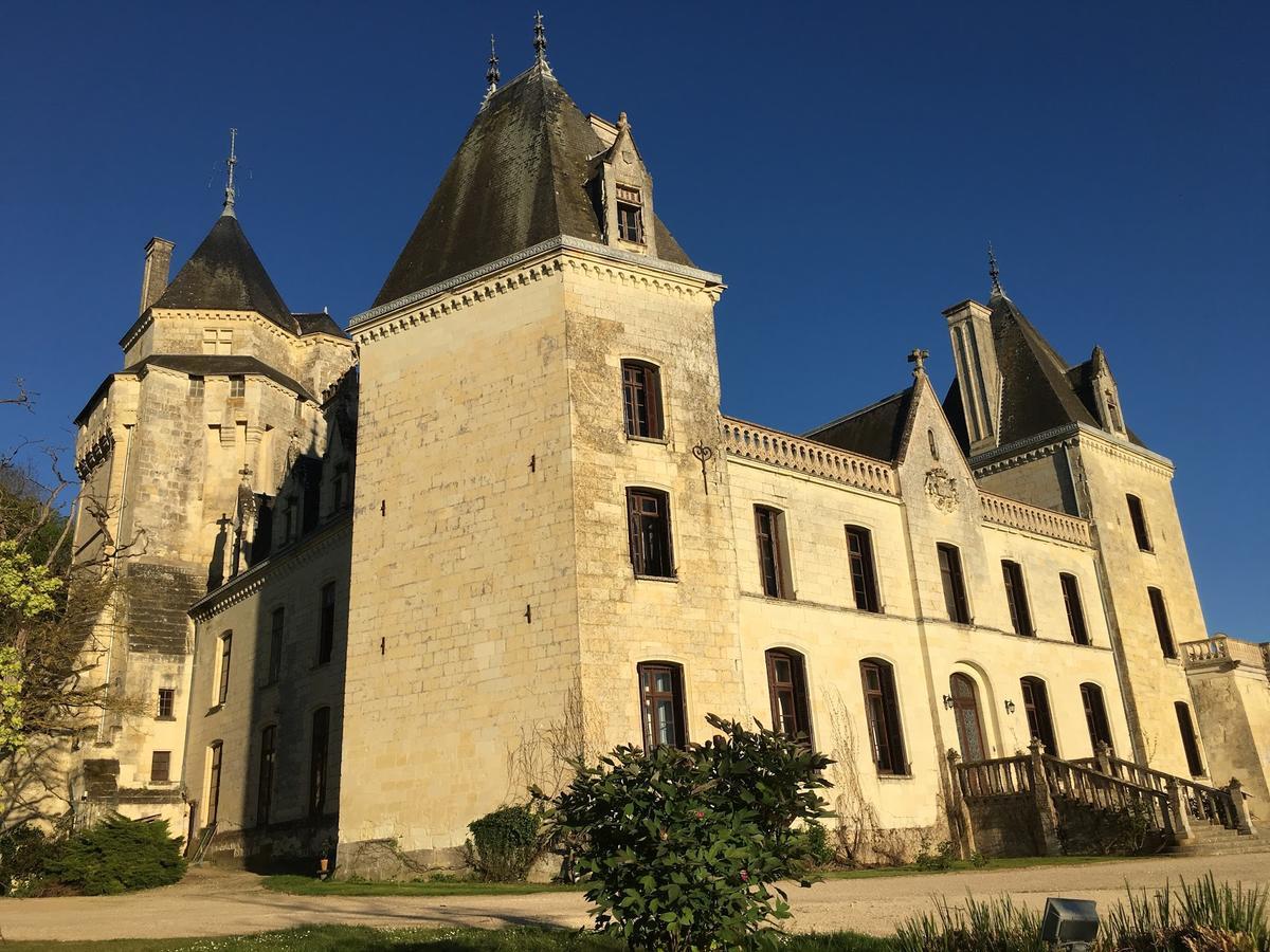 Chateau De Ternay Ternay  Екстериор снимка