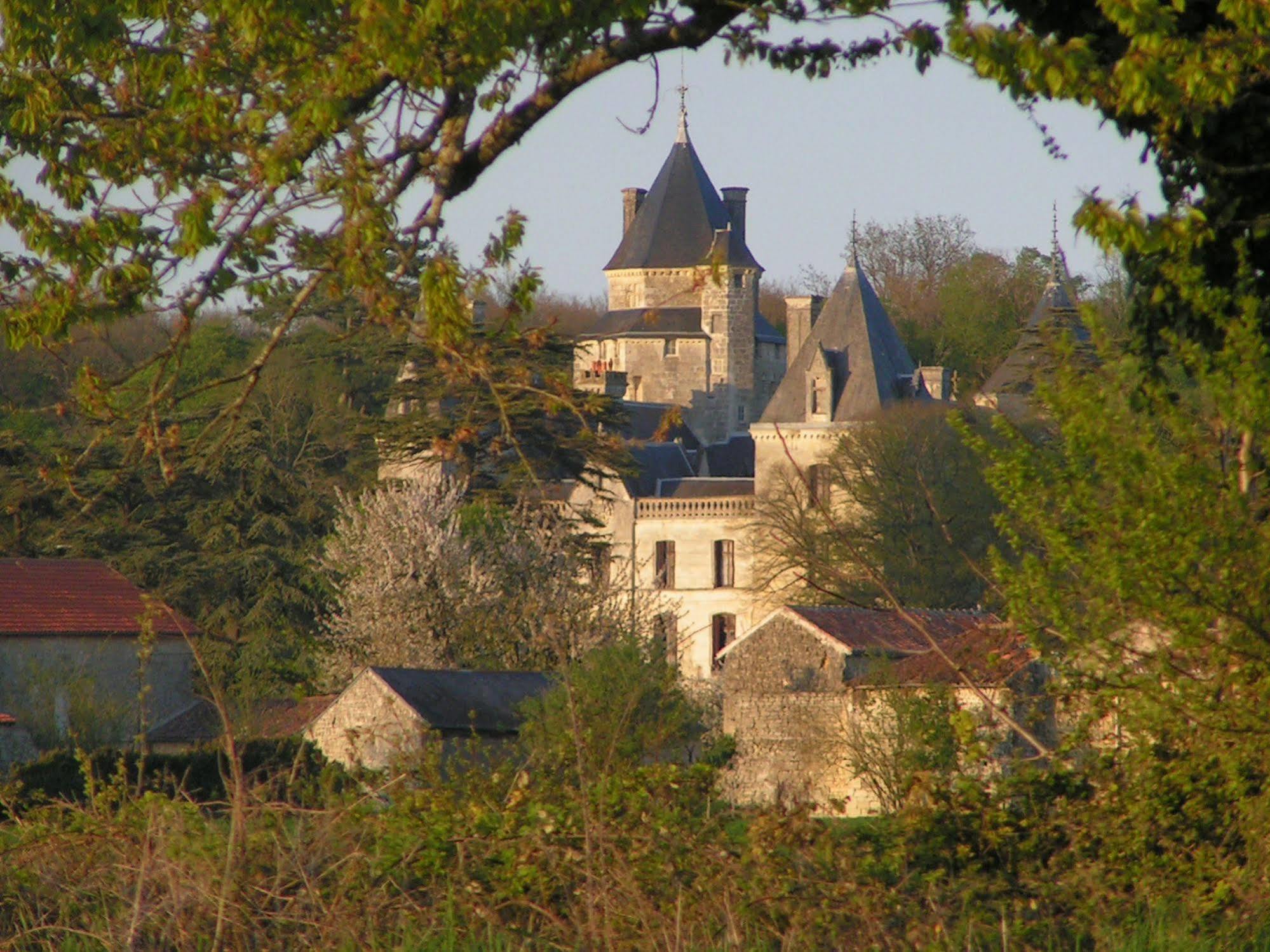Chateau De Ternay Ternay  Екстериор снимка