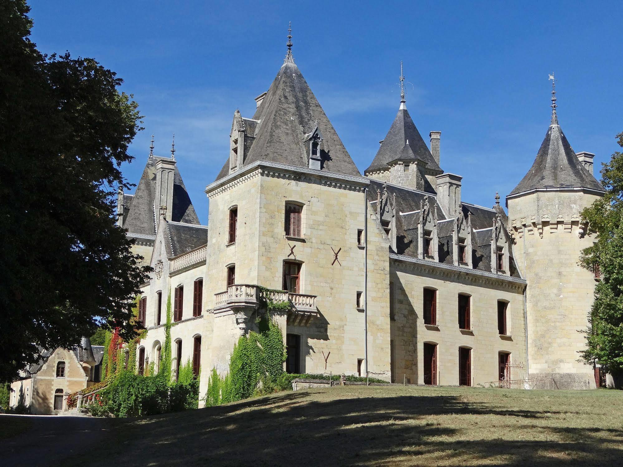 Chateau De Ternay Ternay  Екстериор снимка
