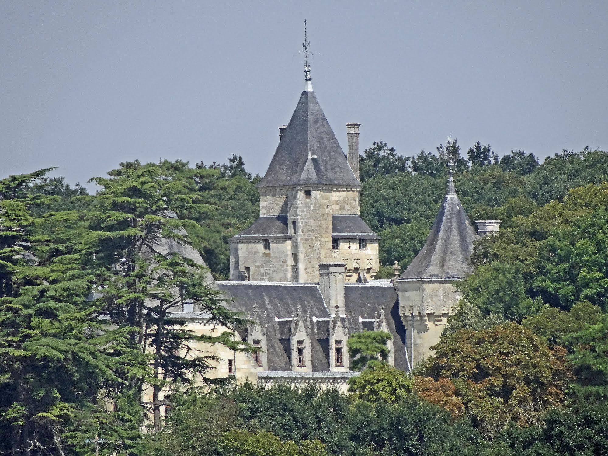 Chateau De Ternay Ternay  Екстериор снимка