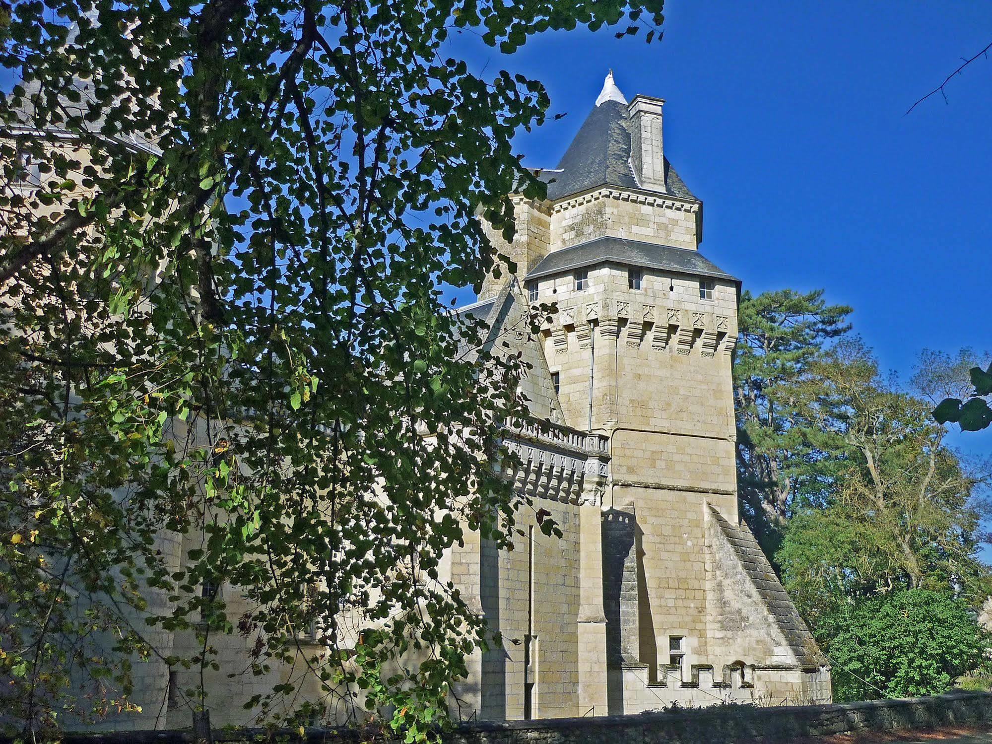Chateau De Ternay Ternay  Екстериор снимка