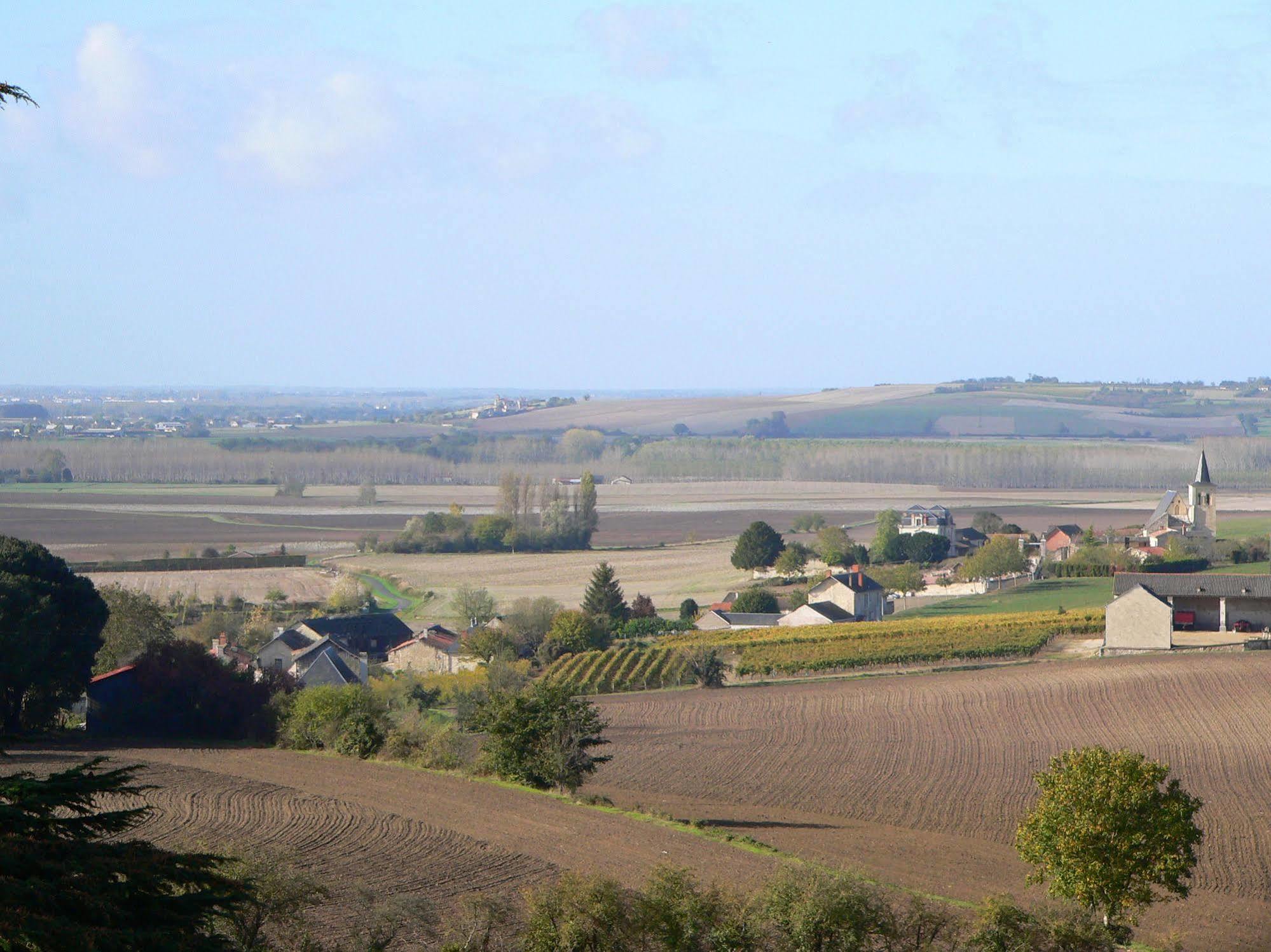 Chateau De Ternay Ternay  Екстериор снимка