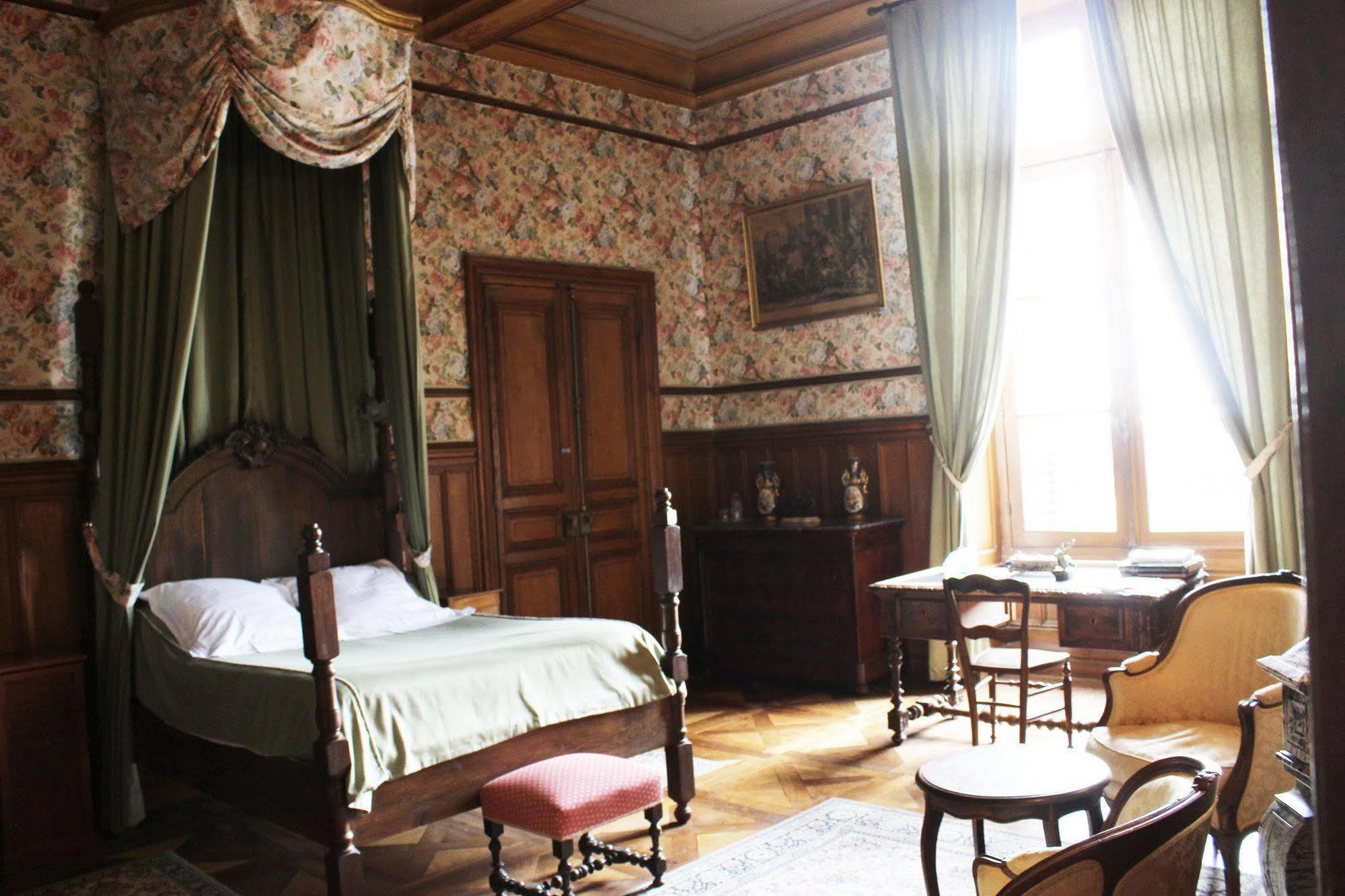 Chateau De Ternay Ternay  Екстериор снимка
