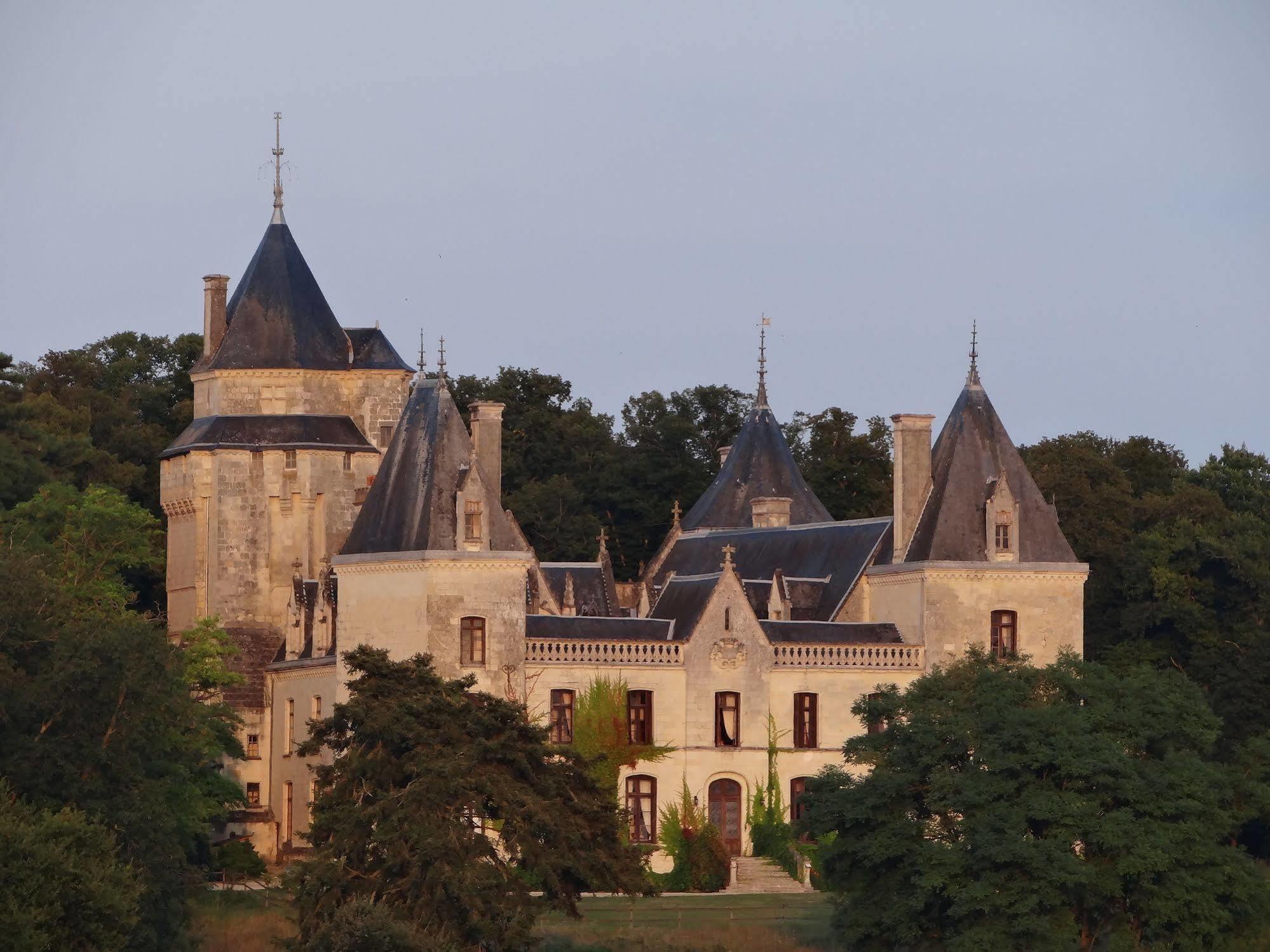 Chateau De Ternay Ternay  Екстериор снимка