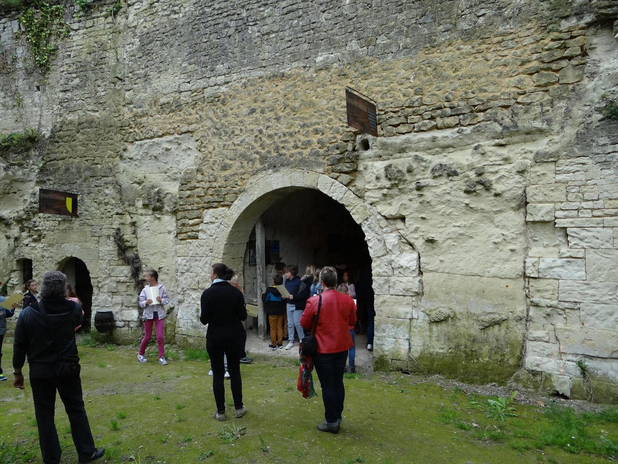Chateau De Ternay Ternay  Екстериор снимка