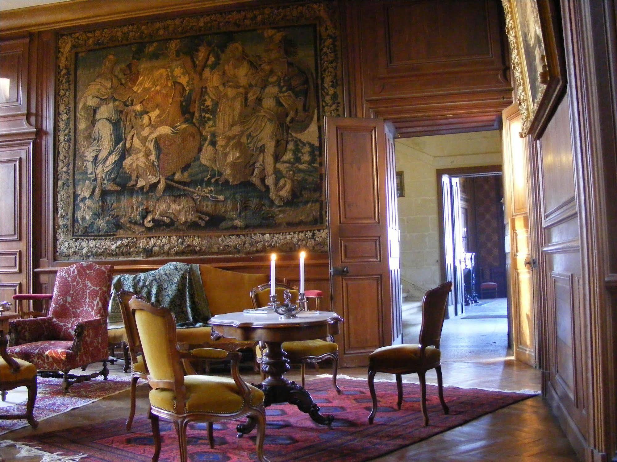 Chateau De Ternay Ternay  Екстериор снимка
