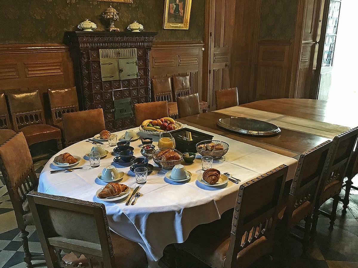 Chateau De Ternay Ternay  Екстериор снимка